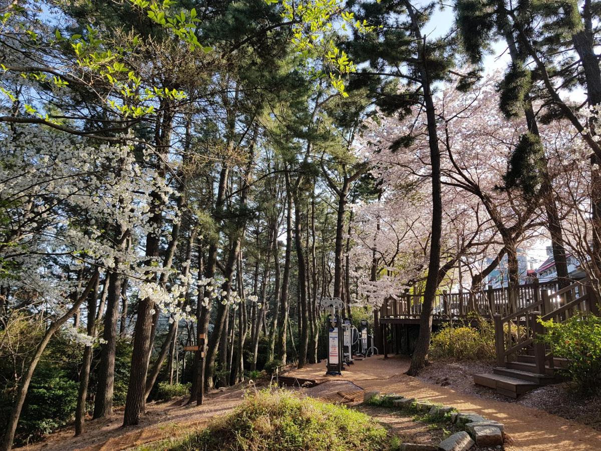 Suntree Hotel Busan Eksteriør billede