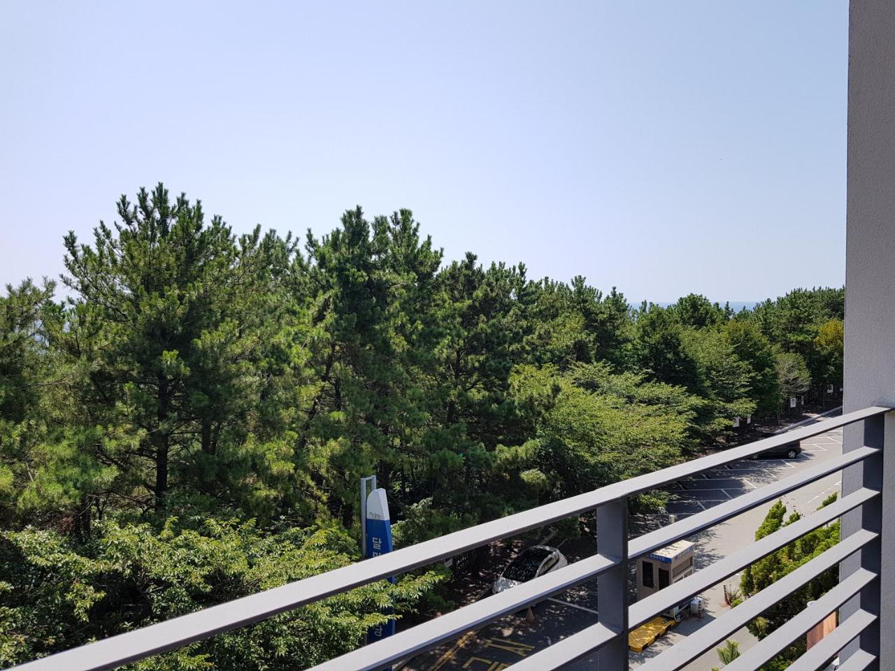 Suntree Hotel Busan Eksteriør billede